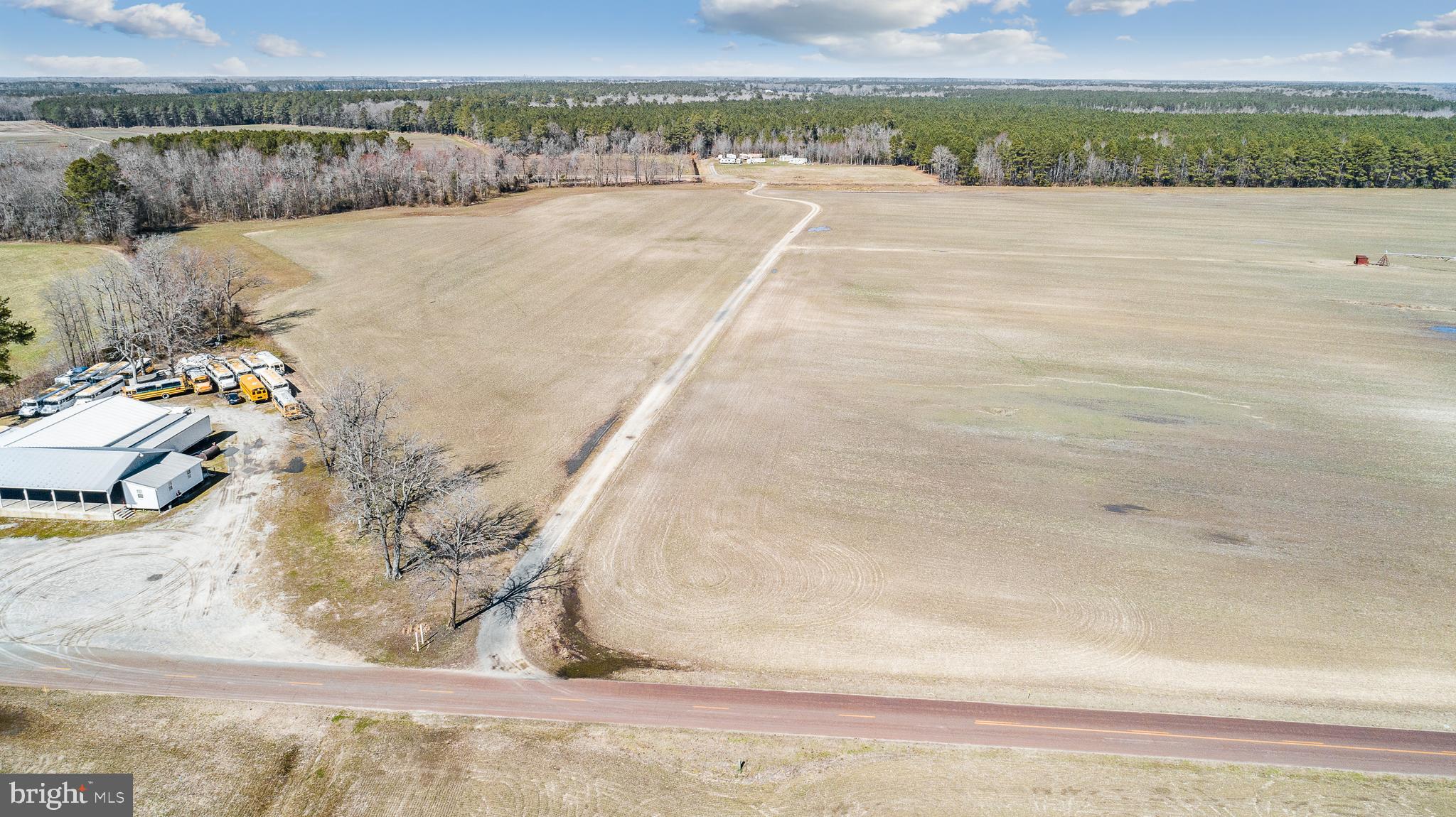 Maiden Forest Road Rhodesdale, MD 21659 - Photo 15 of 18