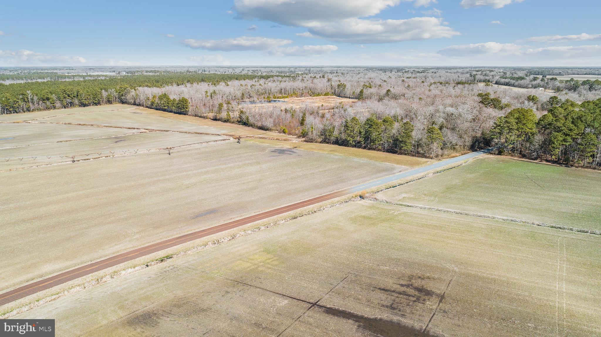 Maiden Forest Road Rhodesdale, MD 21659 - Photo 18 of 18