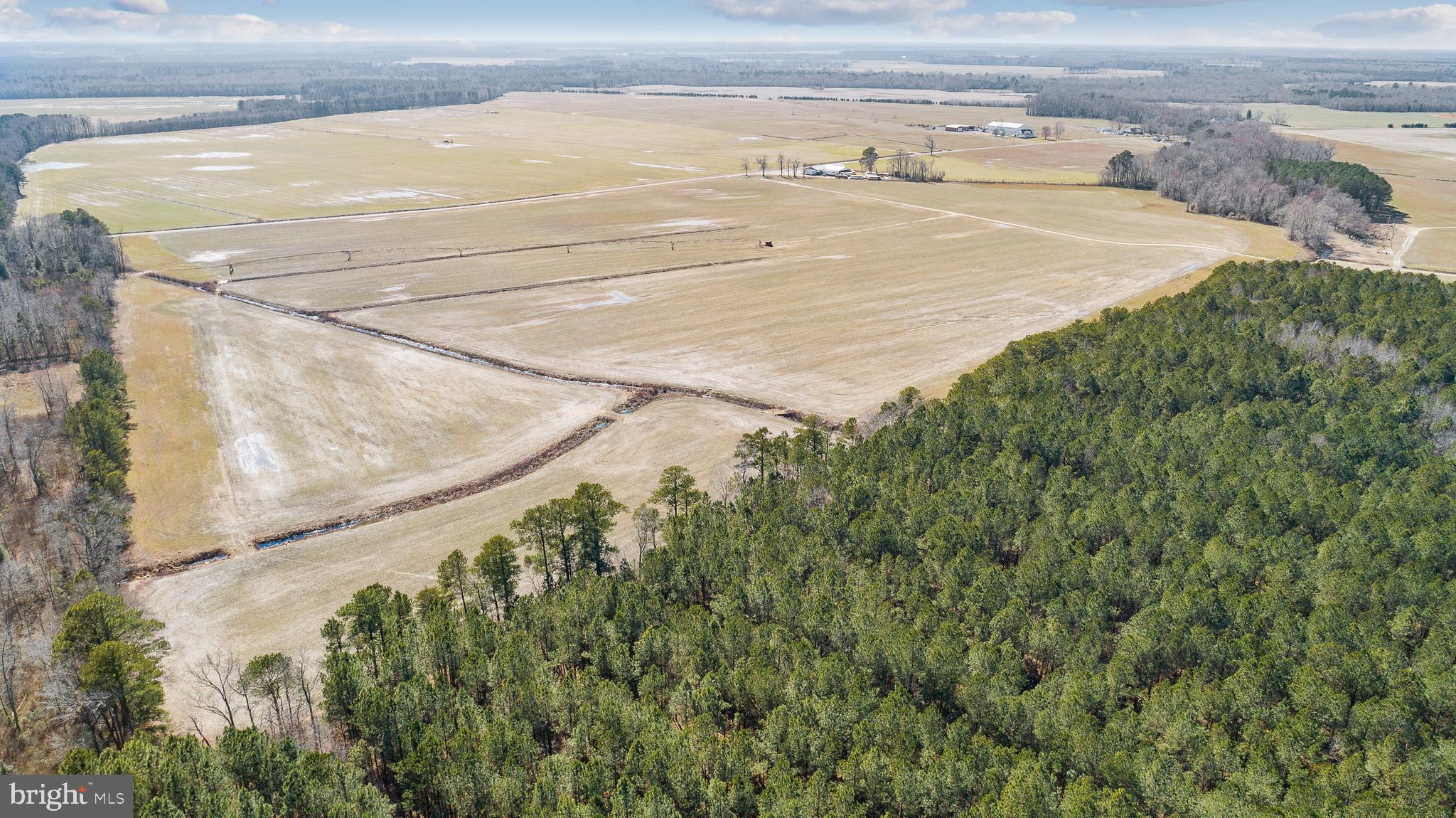 Maiden Forest Road Rhodesdale, MD 21659 - Photo 4 of 18