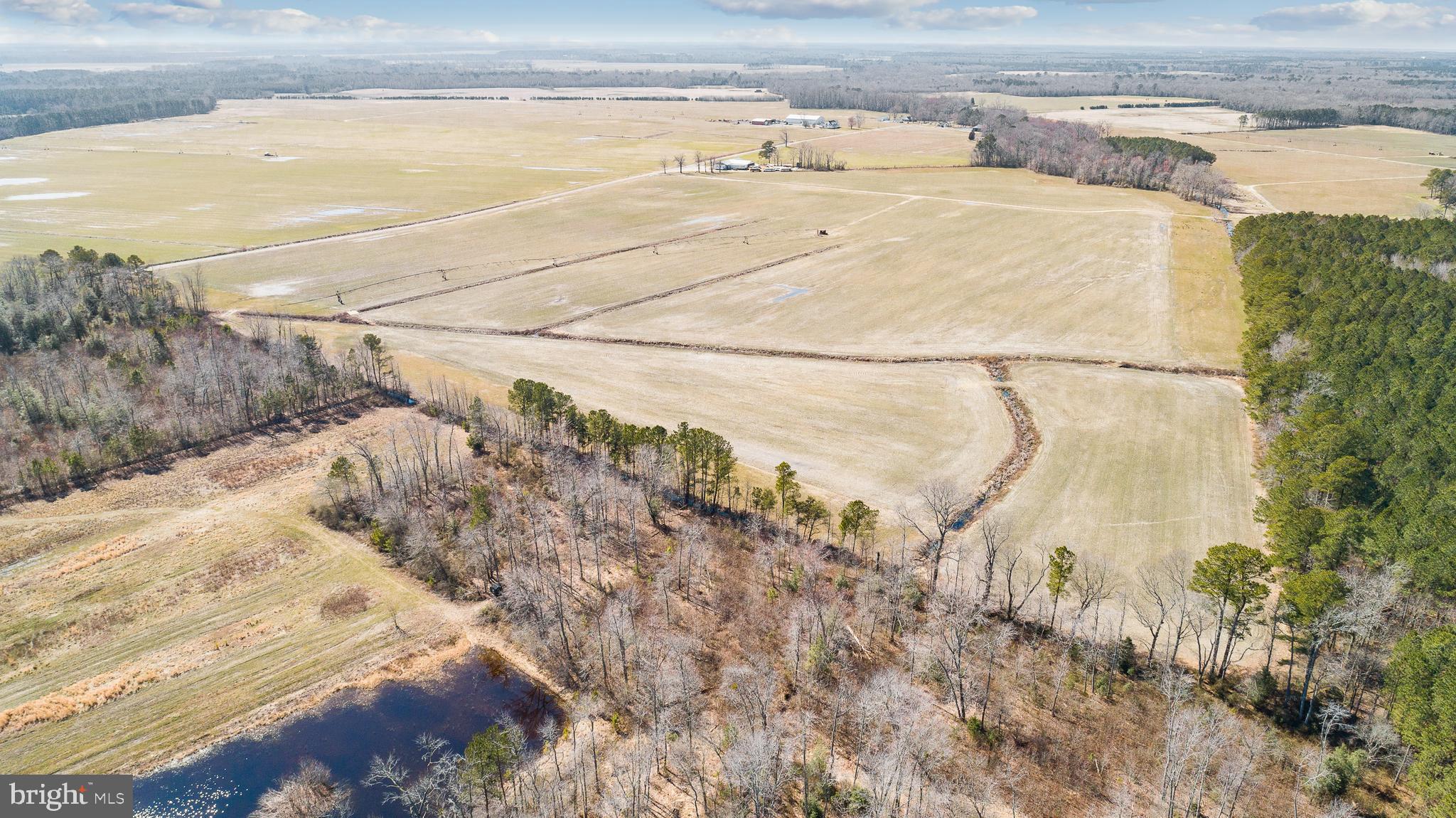 Maiden Forest Road Rhodesdale, MD 21659 - Photo 5 of 18