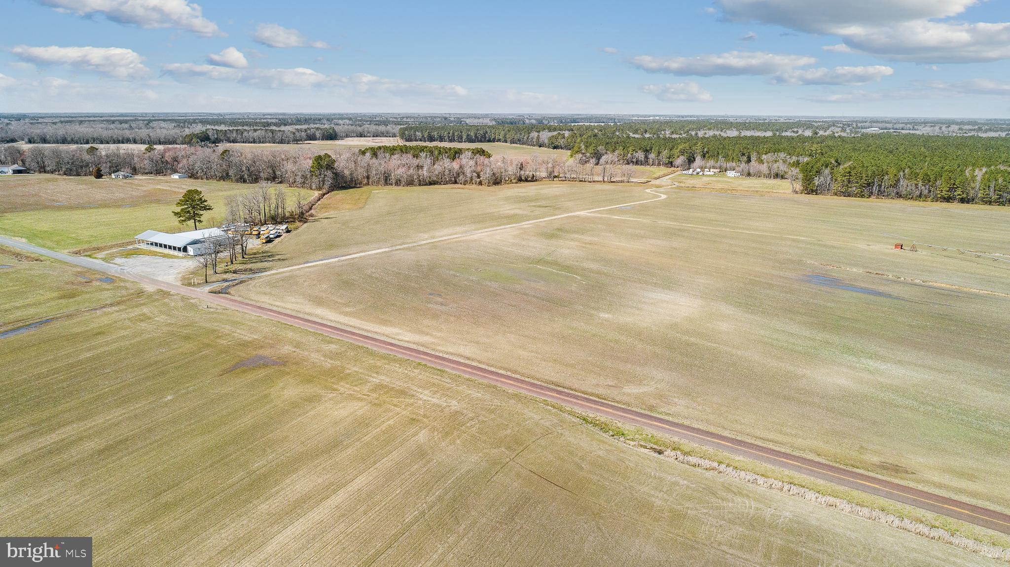 Maiden Forest Road Rhodesdale, MD 21659 - Photo 6 of 18