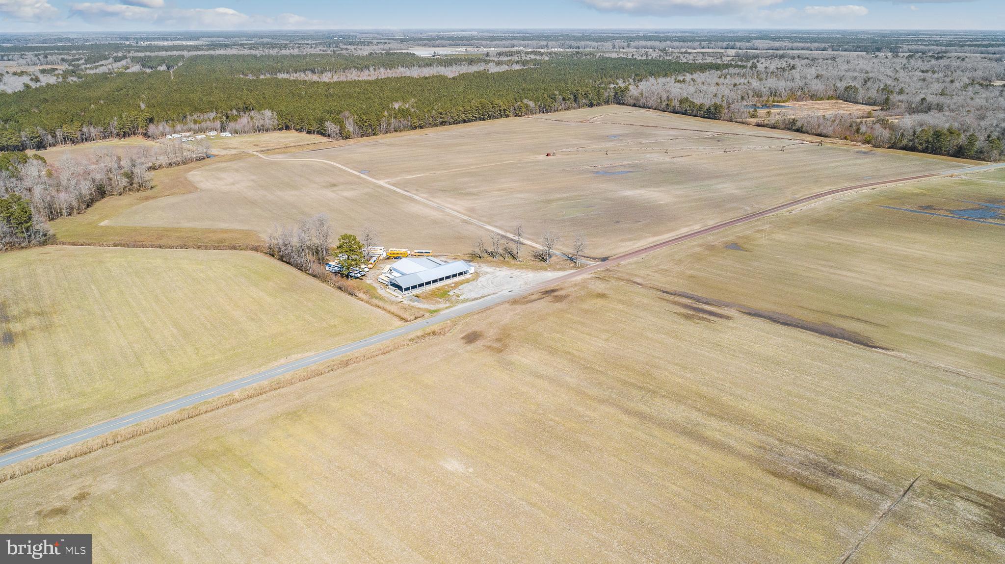 Maiden Forest Road Rhodesdale, MD 21659 - Photo 8 of 18