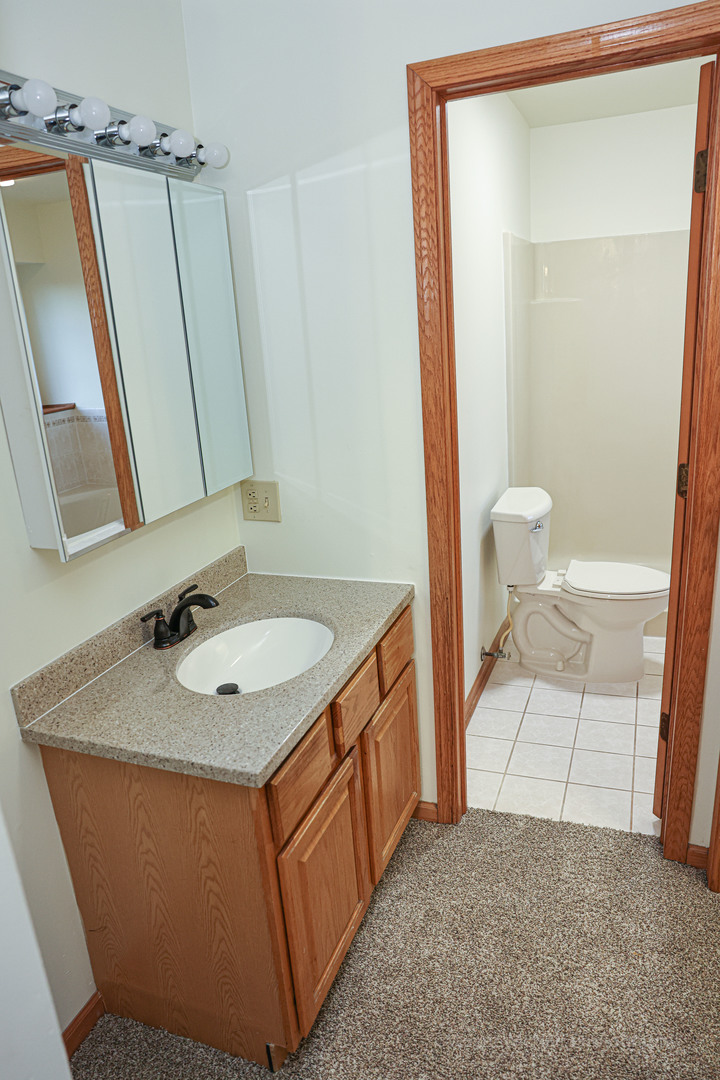 206 1/2 Redbud Drive Joliet, IL 60433 - Photo 16 of 34 a bathroom with a sink a toilet and a mirror