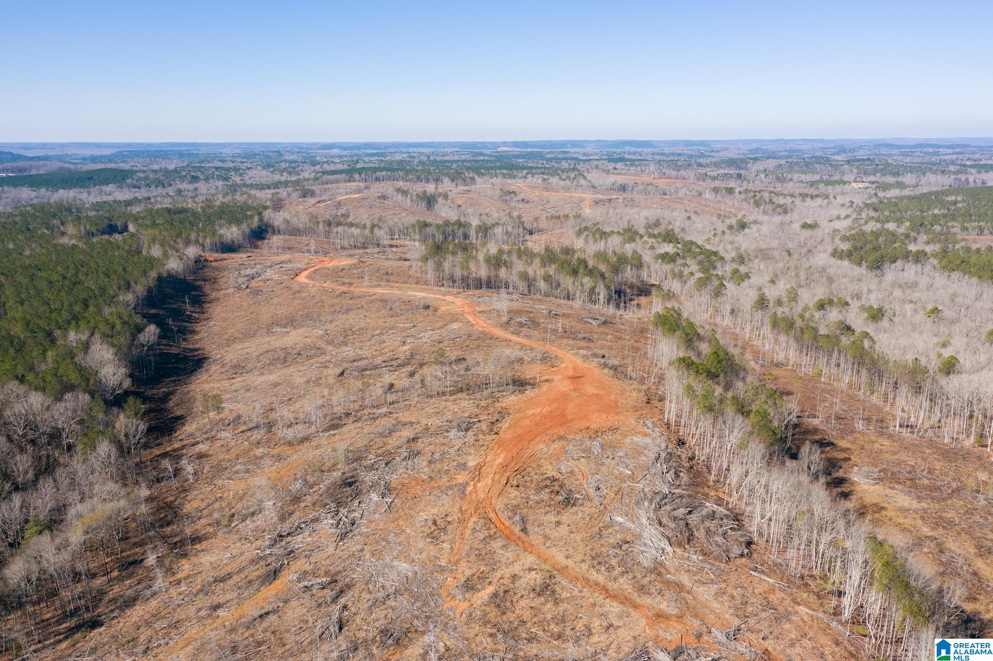 0 Harless Road Northport, AL 35475 - Photo 3 of 34