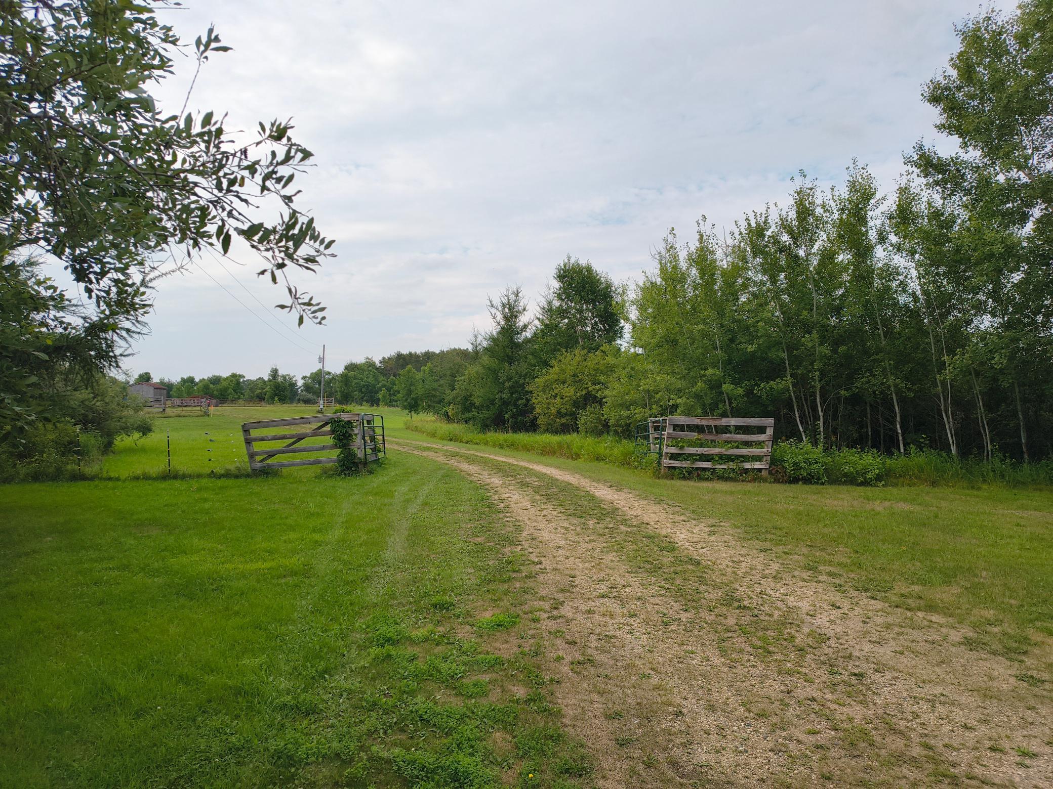 Tbd Buckskin Road Northeast Alexandria, MN 56308 - Photo 1 of 12 Gallery Image 1