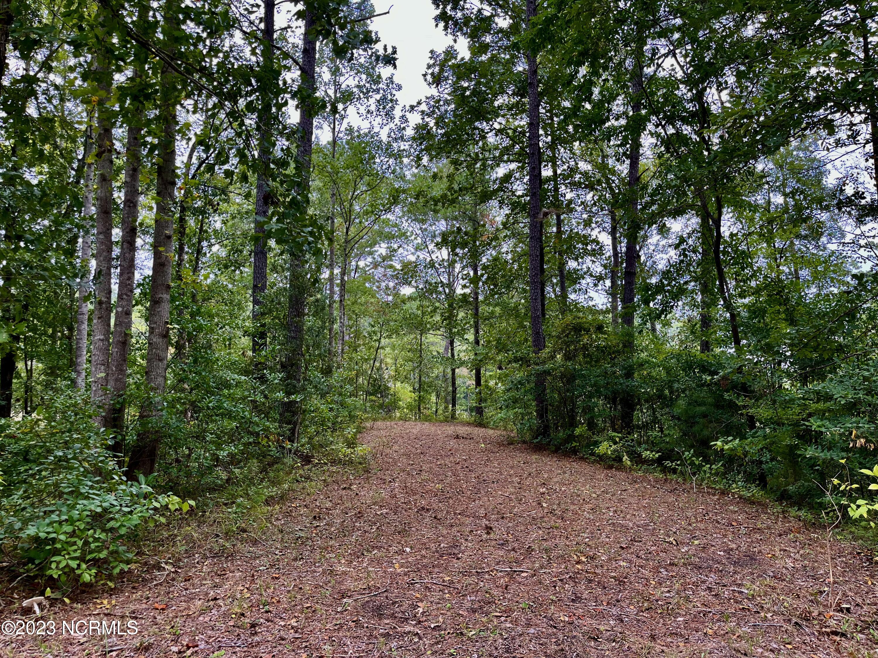 158 Fisher Turnpike Road Arapahoe, NC 28510 - Photo 9 of 27 Lot