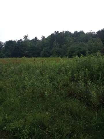 $350,000 | 2091 Parker Hollow Road, Masonville, NY 13849