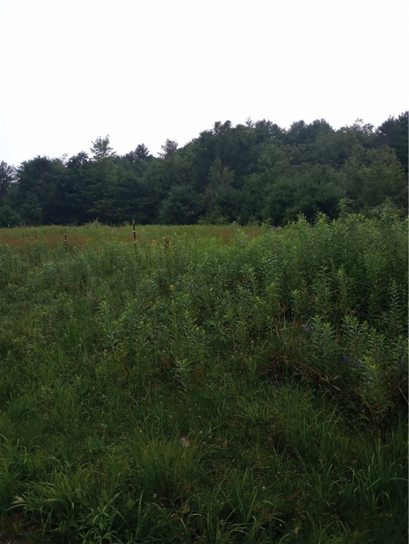 2091 Parker Hollow Road Masonville, NY 13849 - Photo 28 of 39