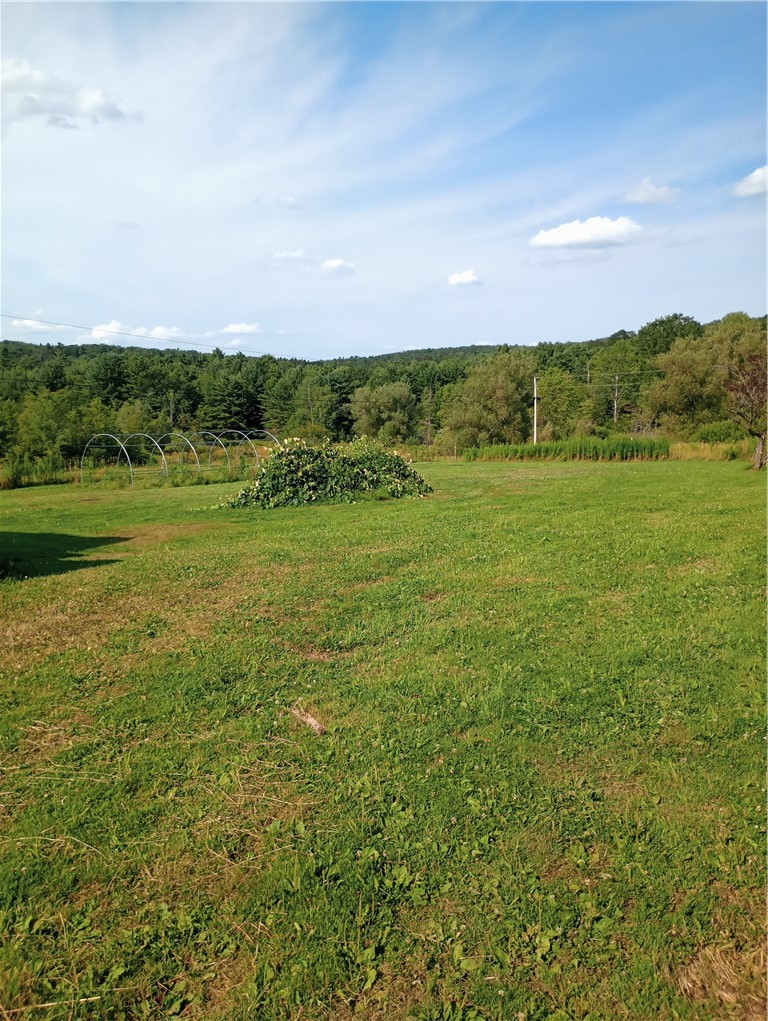 2091 Parker Hollow Road Masonville, NY 13849 - Photo 29 of 39