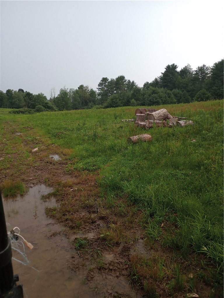 2091 Parker Hollow Road Masonville, NY 13849 - Photo 30 of 39