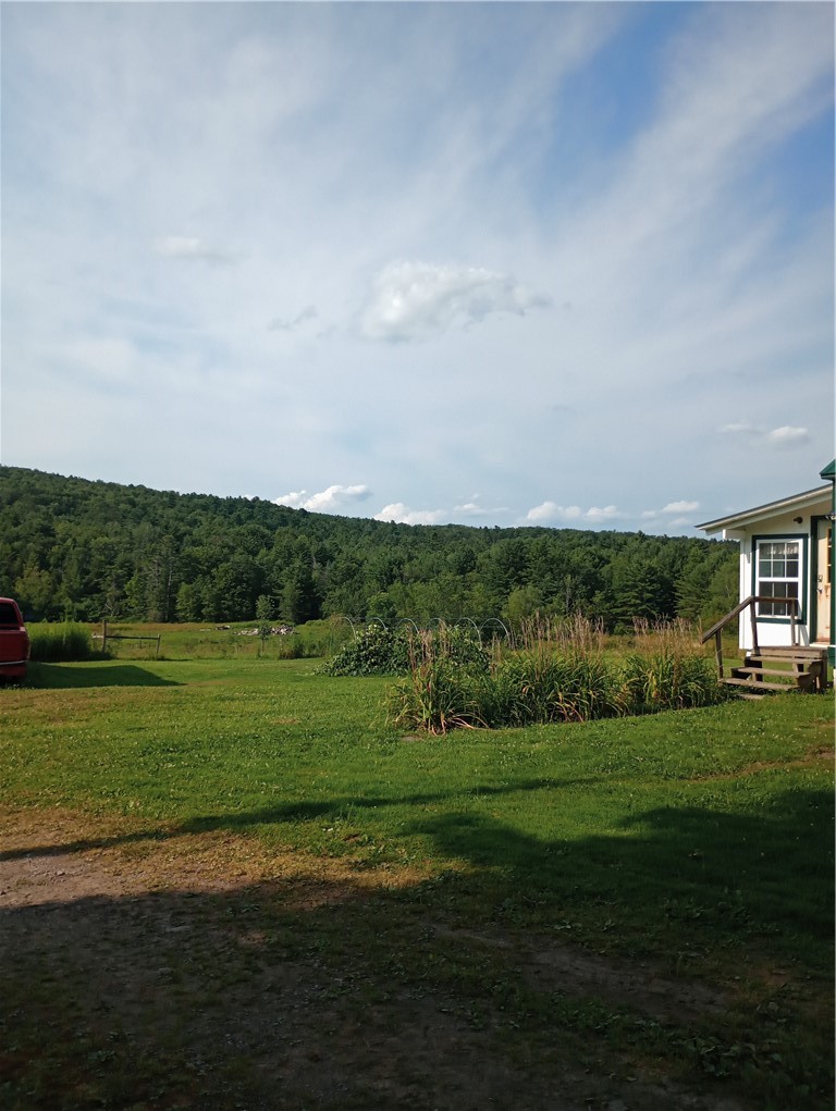 2091 Parker Hollow Road Masonville, NY 13849 - Photo 31 of 39