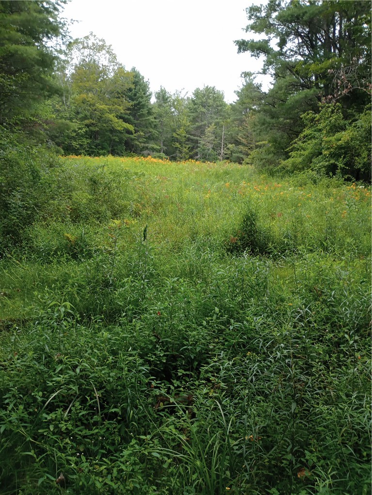 2091 Parker Hollow Road Masonville, NY 13849 - Photo 32 of 39