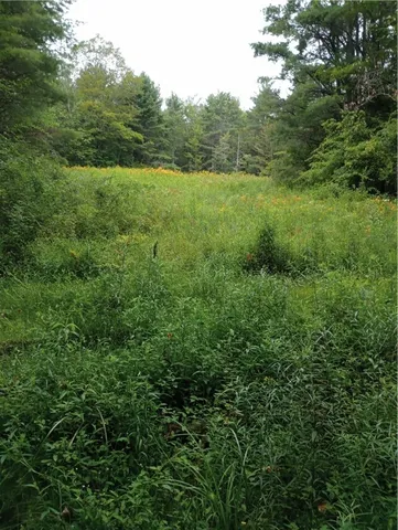 $350,000 | 2091 Parker Hollow Road, Masonville, NY 13849