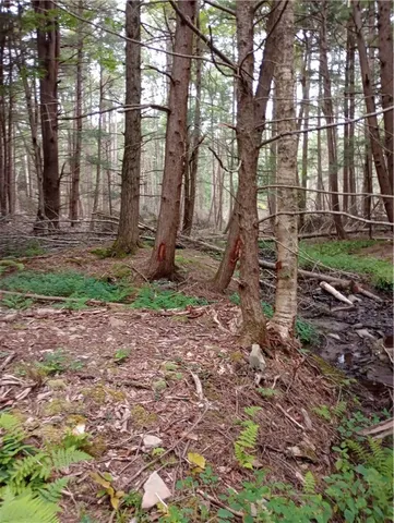 $350,000 | 2091 Parker Hollow Road, Masonville, NY 13849