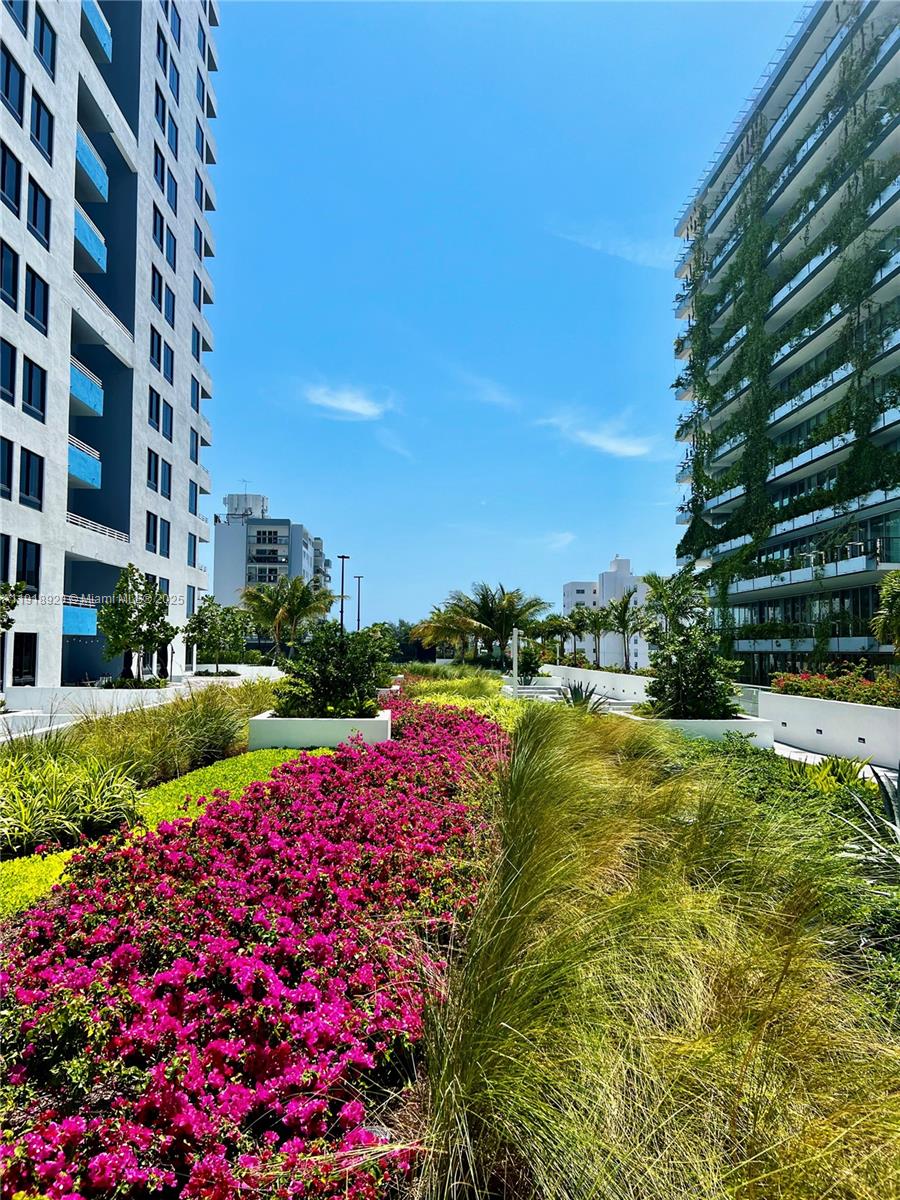 1330 West Avenue, Unit 2513 Miami Beach, FL 33139 - Photo 13 of 20 a view of a garden with plants and large trees