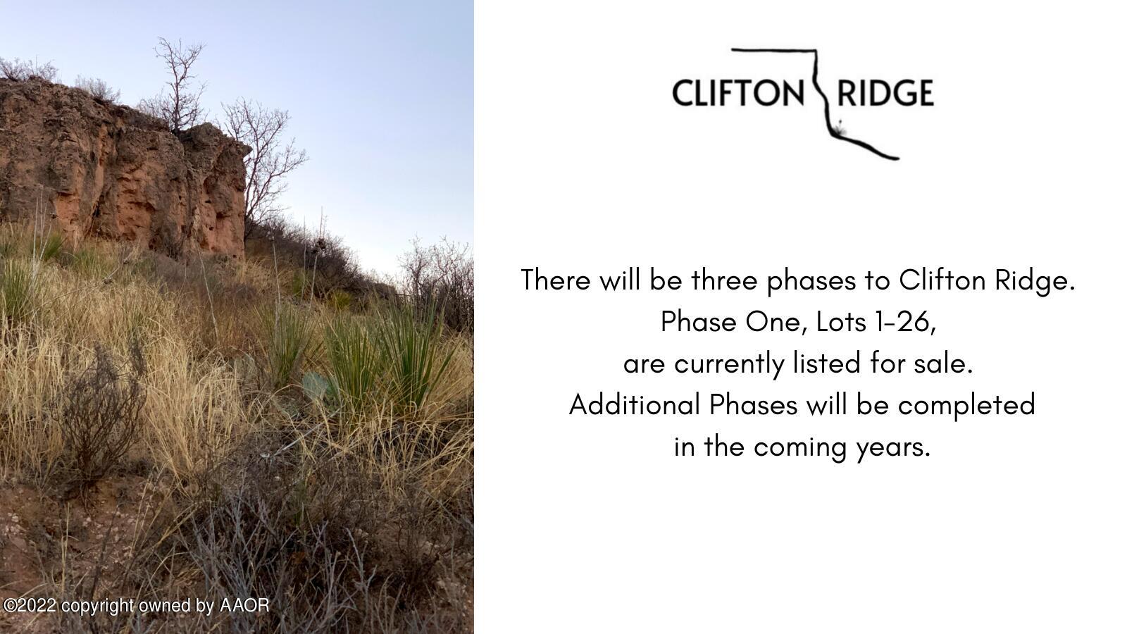 20700 Creek Ridge Canyon Canyon, TX 79015 - Photo 2 of 9