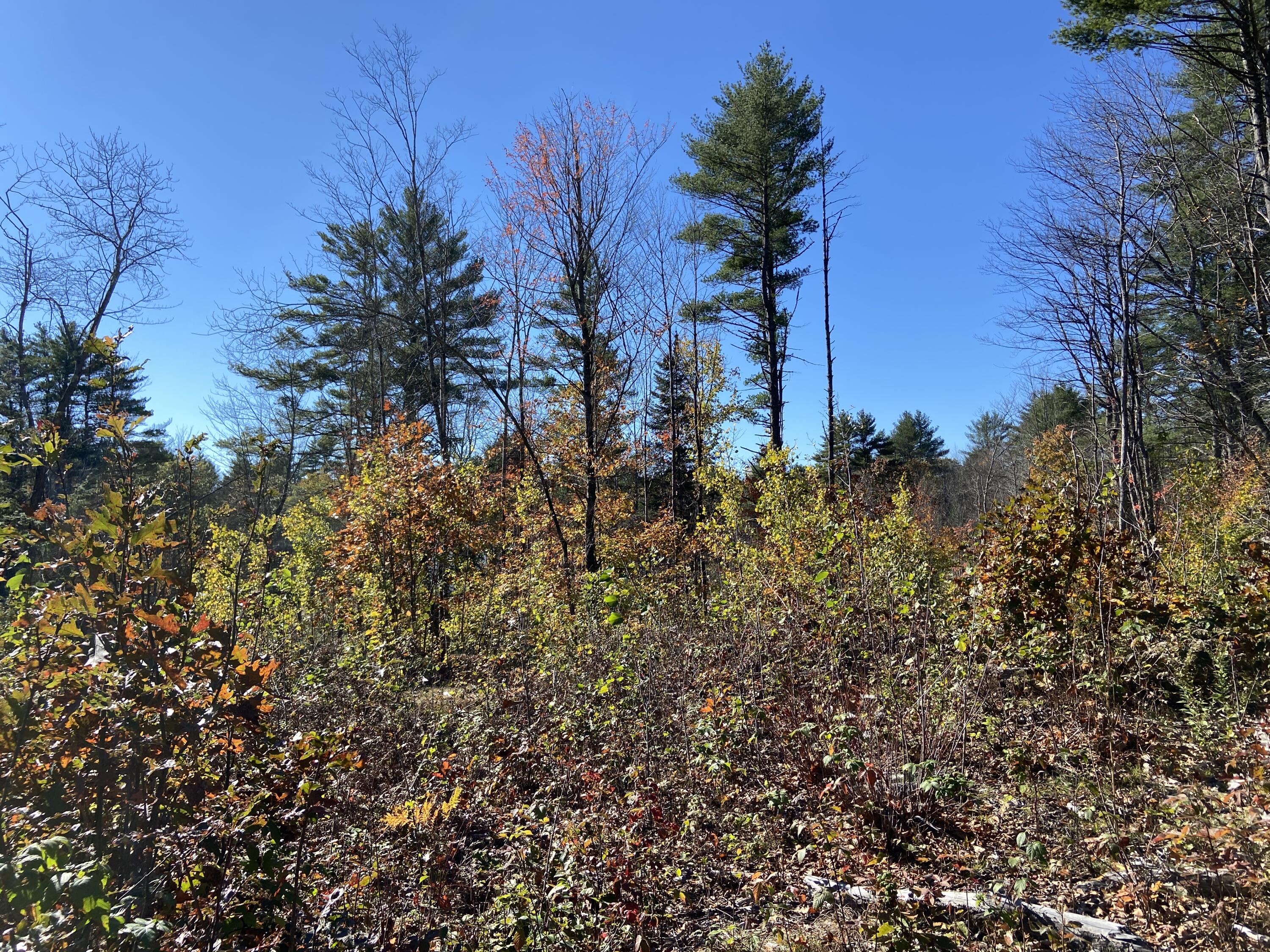 Lot 2 Staples Road West Newfield, ME 04095 - Photo 9 of 13 77245E38-DE6C-4A02-88E5-246BB13E788C