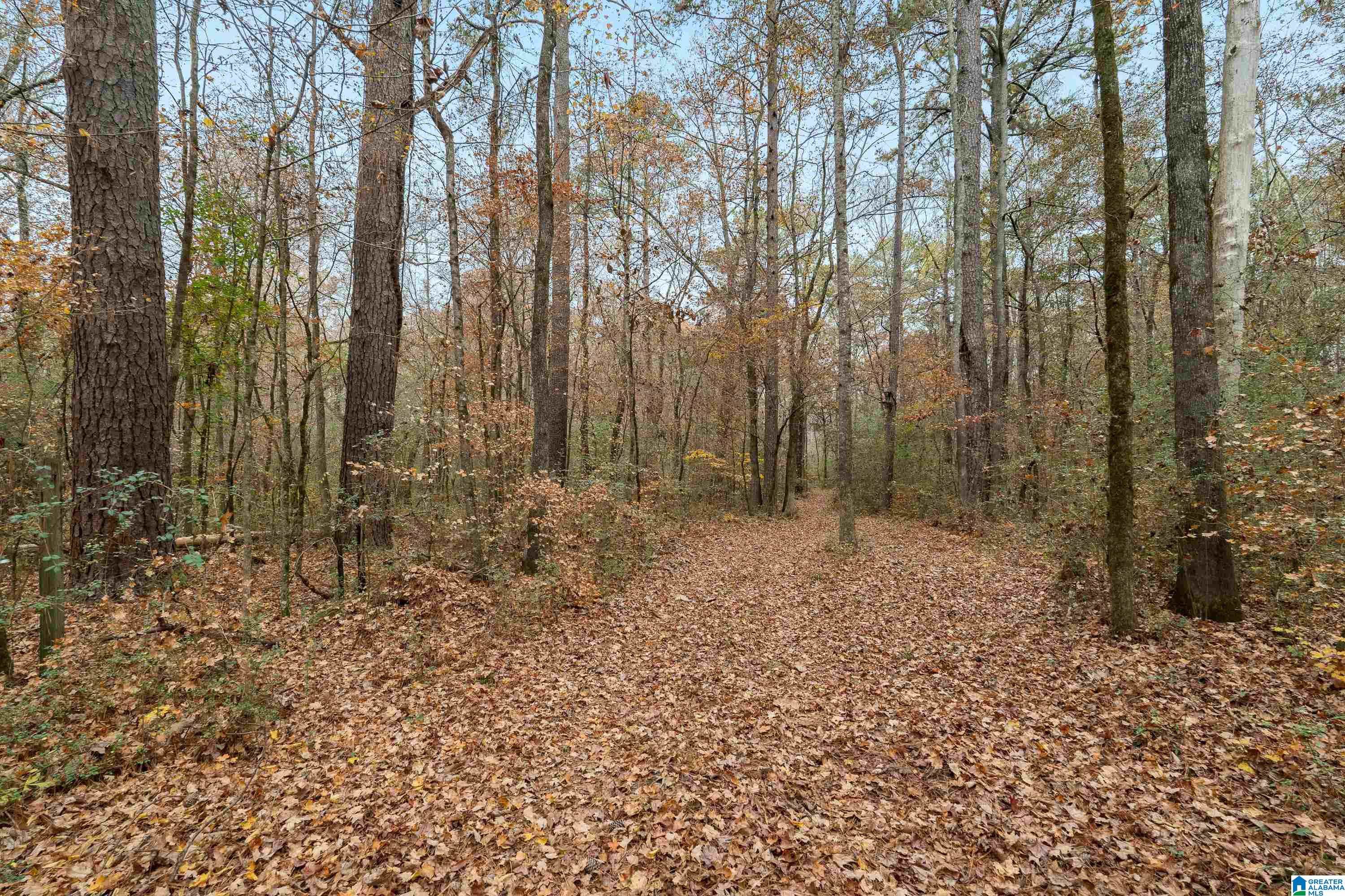 2320 Montevallo Road Southwest Leeds, AL 35094 - Photo 50 of 62
