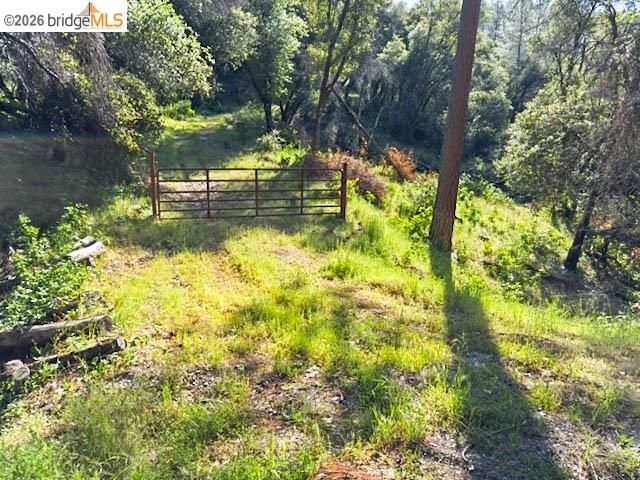 18516 Mastadon Mine Road Tuolumne, CA 95379 - Photo 1 of 6 a view of yard from a house
