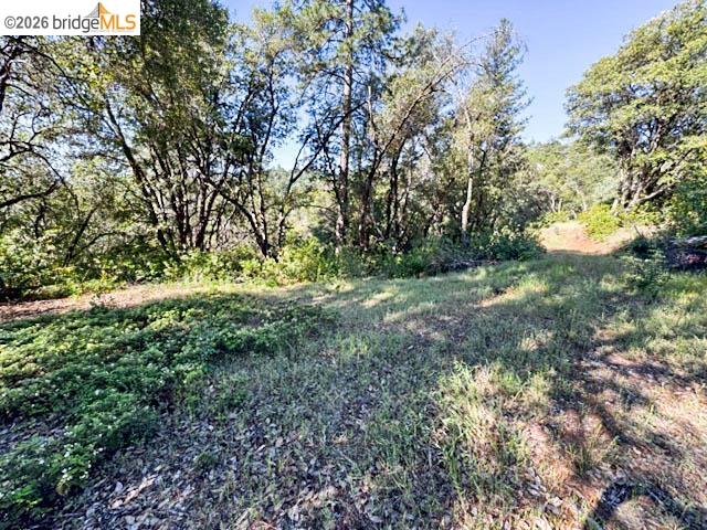 18516 Mastadon Mine Road Tuolumne, CA 95379 - Photo 3 of 6 a big yard with lots of green space and deers