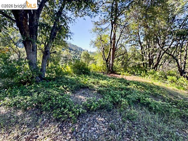 18516 Mastadon Mine Road Tuolumne, CA 95379 - Photo 4 of 6 a view of a garden