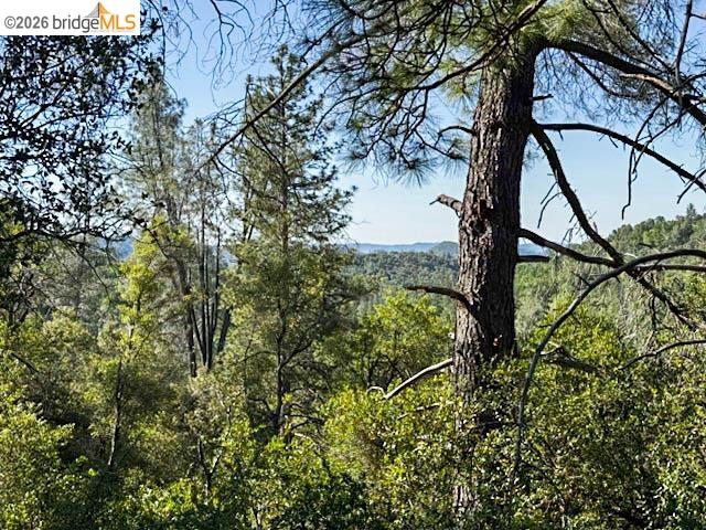 18516 Mastadon Mine Road Tuolumne, CA 95379 - Photo 5 of 6 a view of a yard