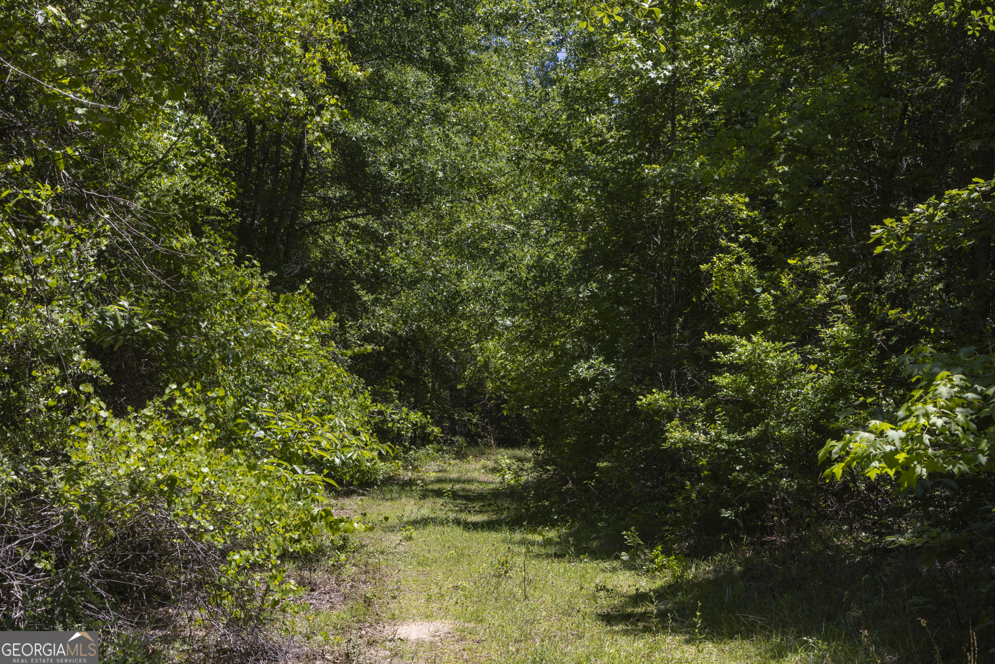 0 Old Griswoldville Road Macon, GA 31217 - Photo 24 of 62