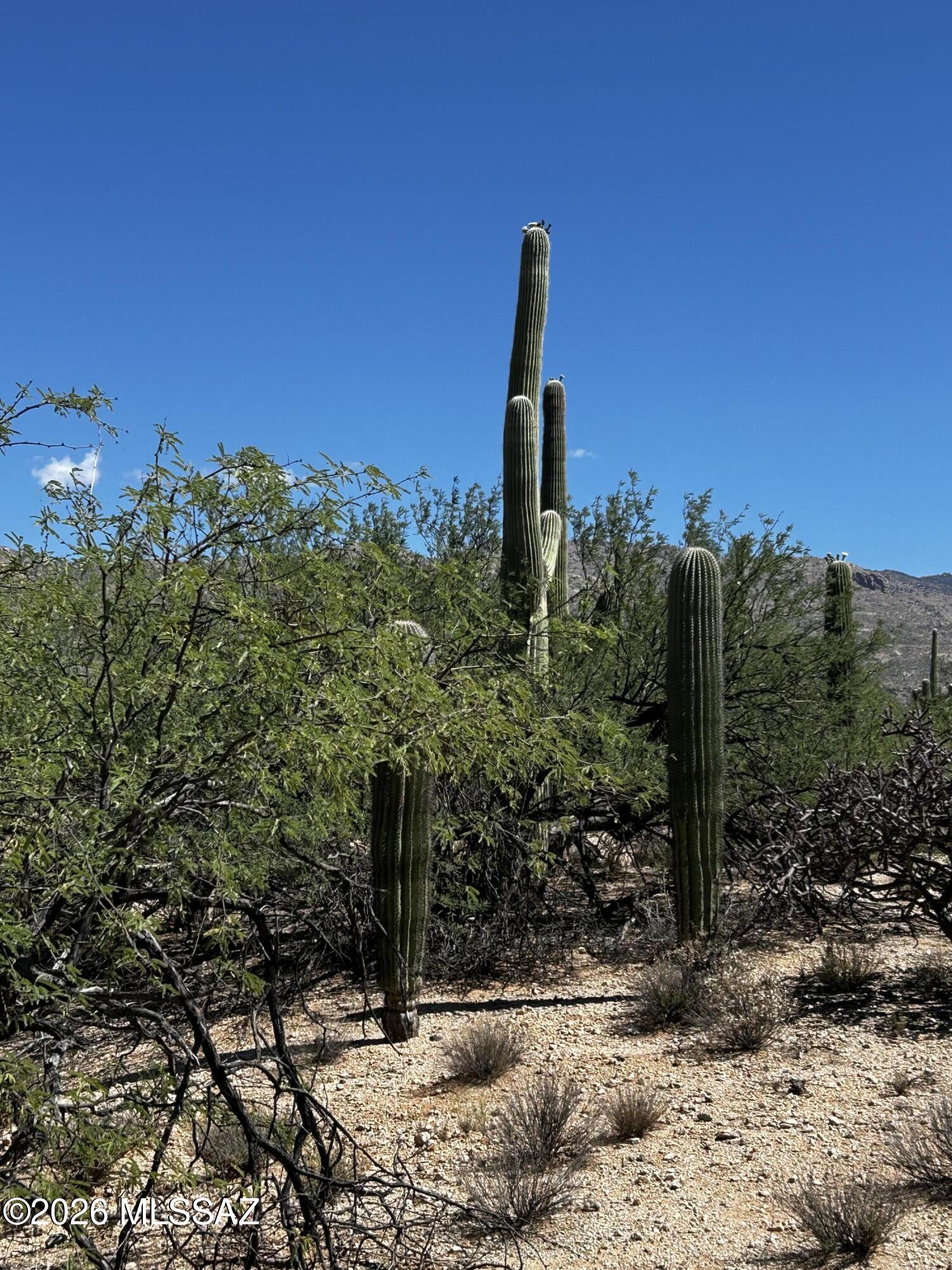 East Roger Road, Unit 46 Tucson, AZ 85749 - Photo 28 of 38