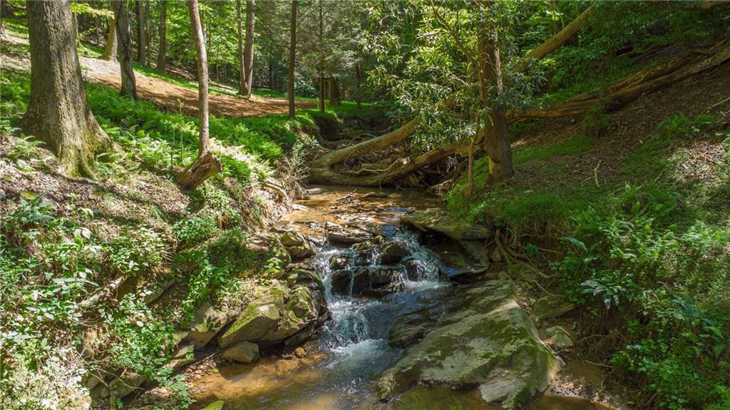 400 Matrix Circle Ellijay, GA 30540 - Photo 6 of 47 a view of a house with a lush green forest