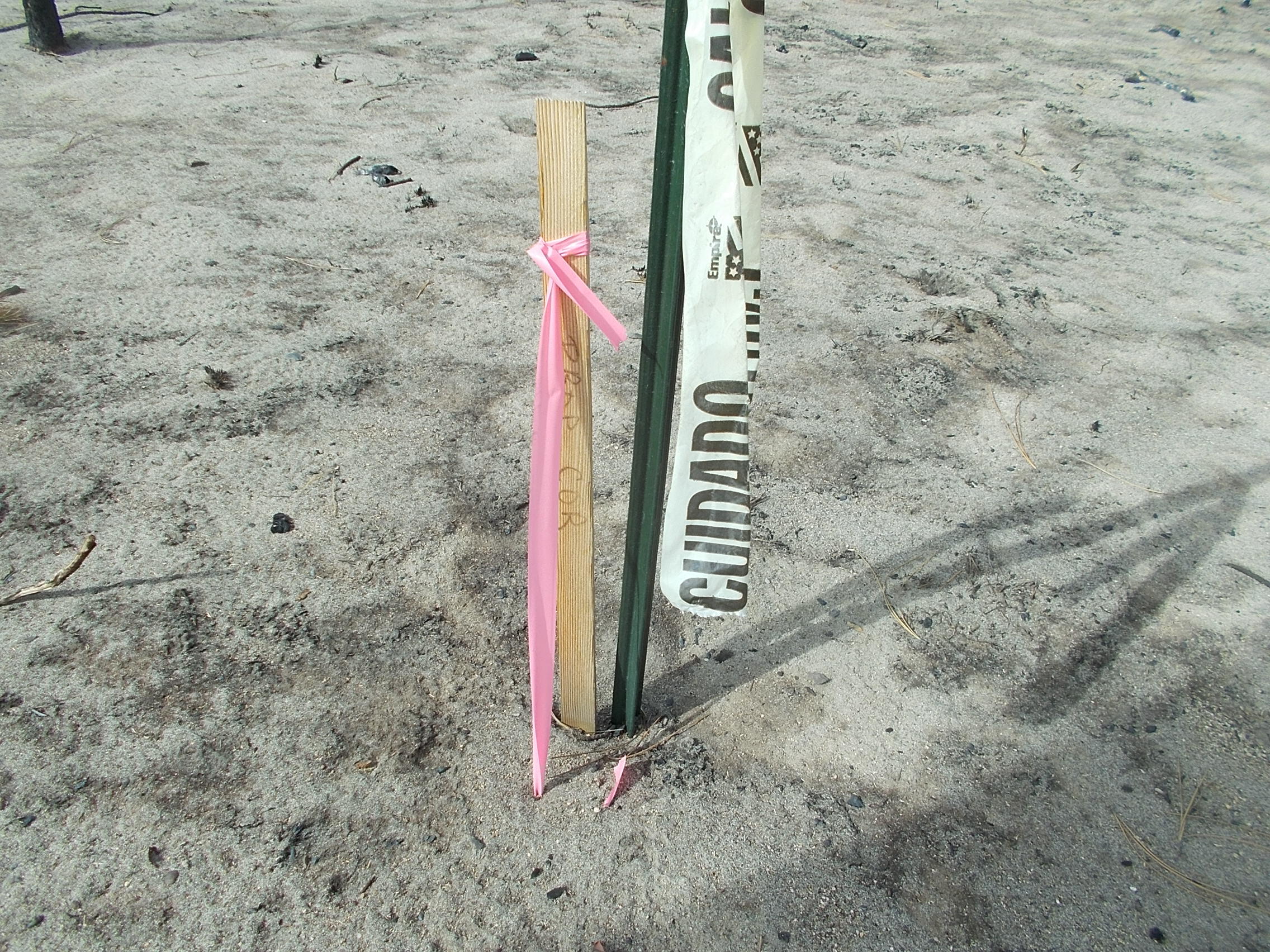 Lot 2100 Bamford Road Bly, OR 97622 - Photo 3 of 12 survey marker