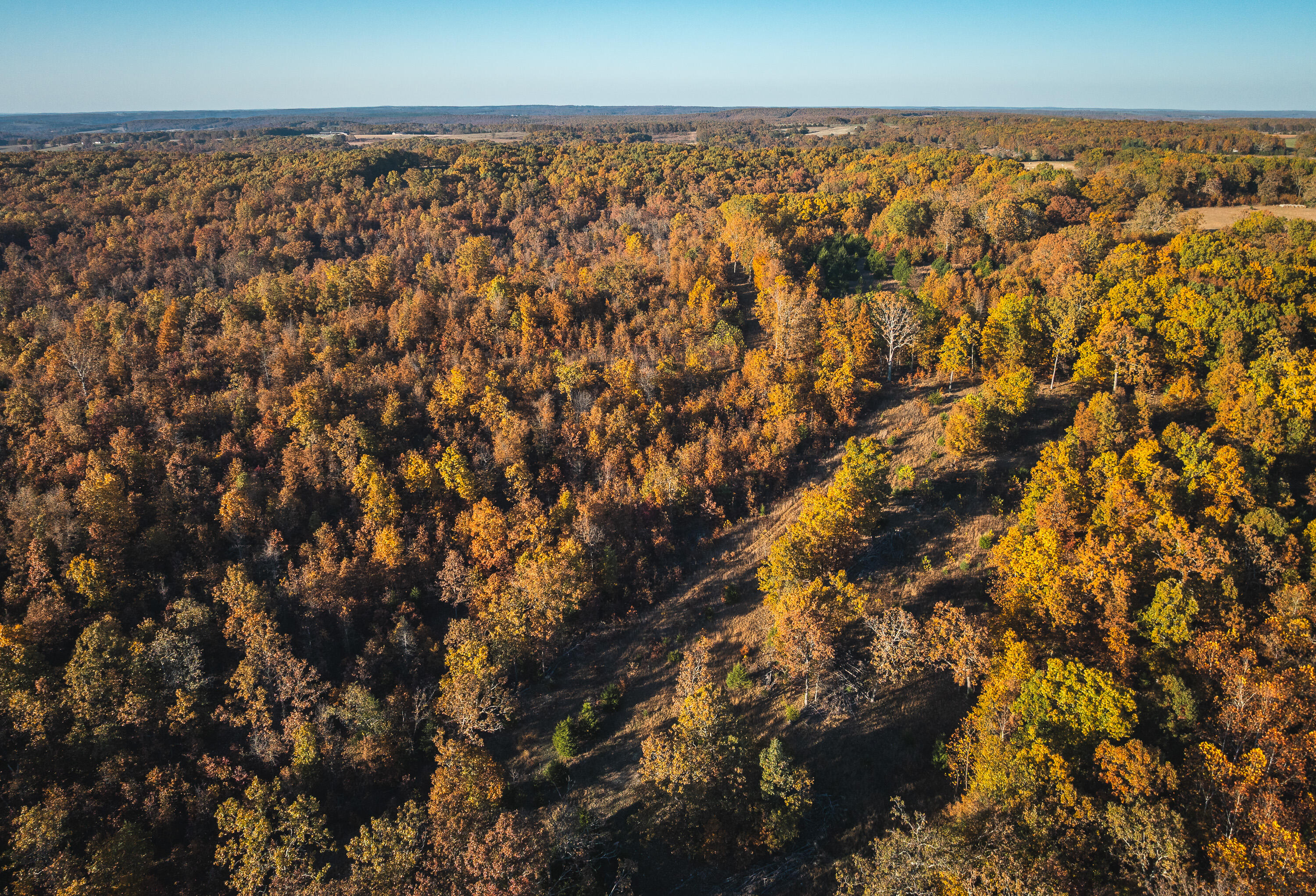 6601 County Line Road Graff, MO 65660 - Photo 5 of 60 DJI_20251105094544_0186_D