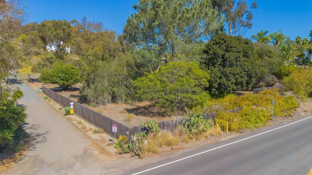 a view of a yard with plants and a bench