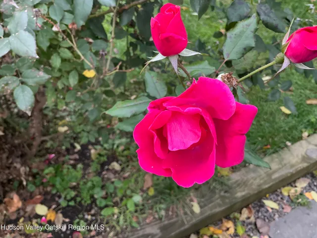 $2,200 | 66 Dodge Street, Hudson, NY 12534