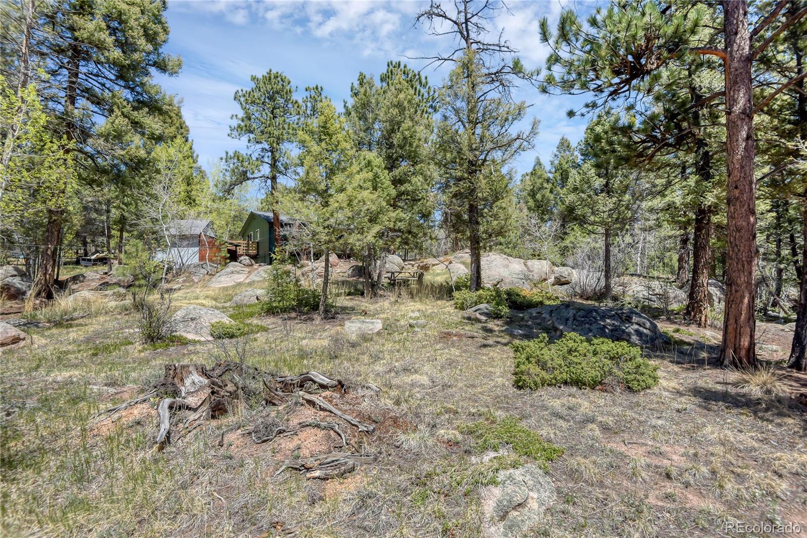 12276 South Styve Road Conifer, CO 80433 - Photo 21 of 21