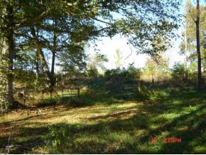 1255 Silver Grove Road Bluff City, TN 37618 - Photo 4 of 4 Photo 4