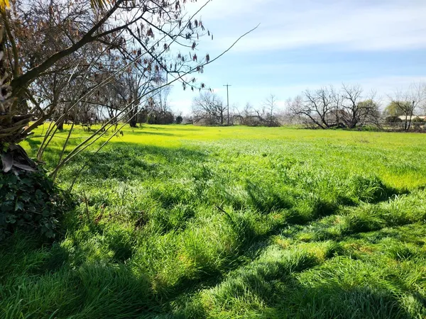 a view of yard with green space