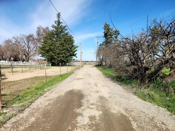 a view of a yard with an trees