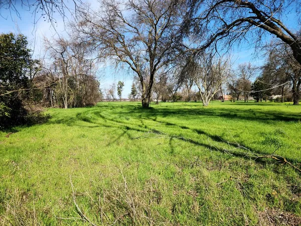 a backyard of a house with lots of green space