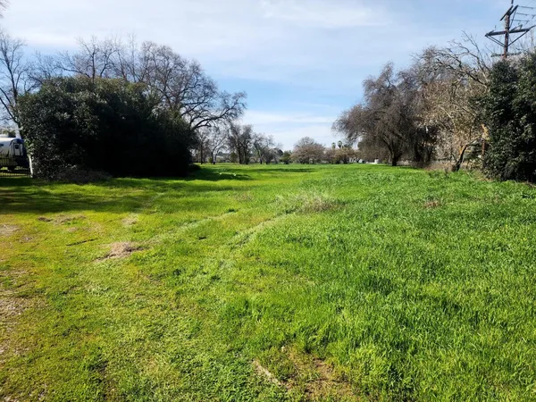 a view of field with trees in the background