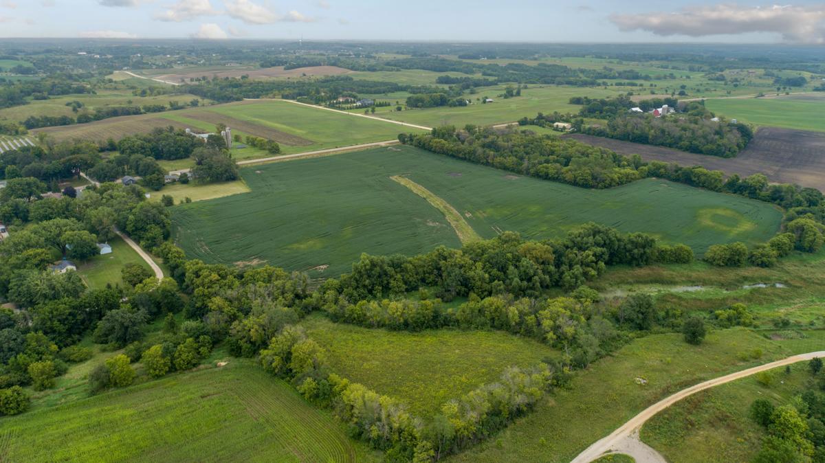 4081 Dassel Avenue Webster, MN 55088 - Photo 5 of 13