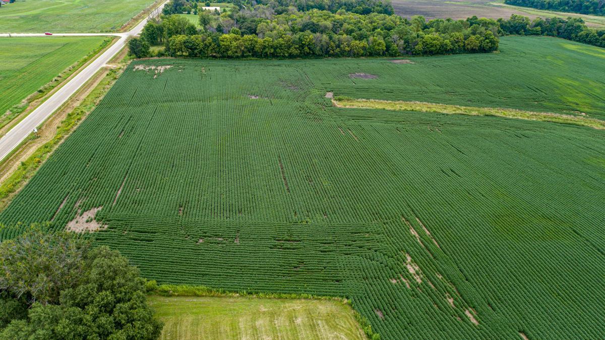 4081 Dassel Avenue Webster, MN 55088 - Photo 10 of 13