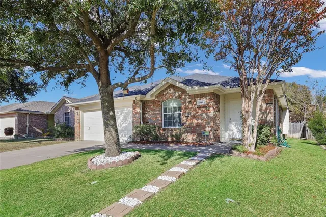 a large tree in middle of the garden