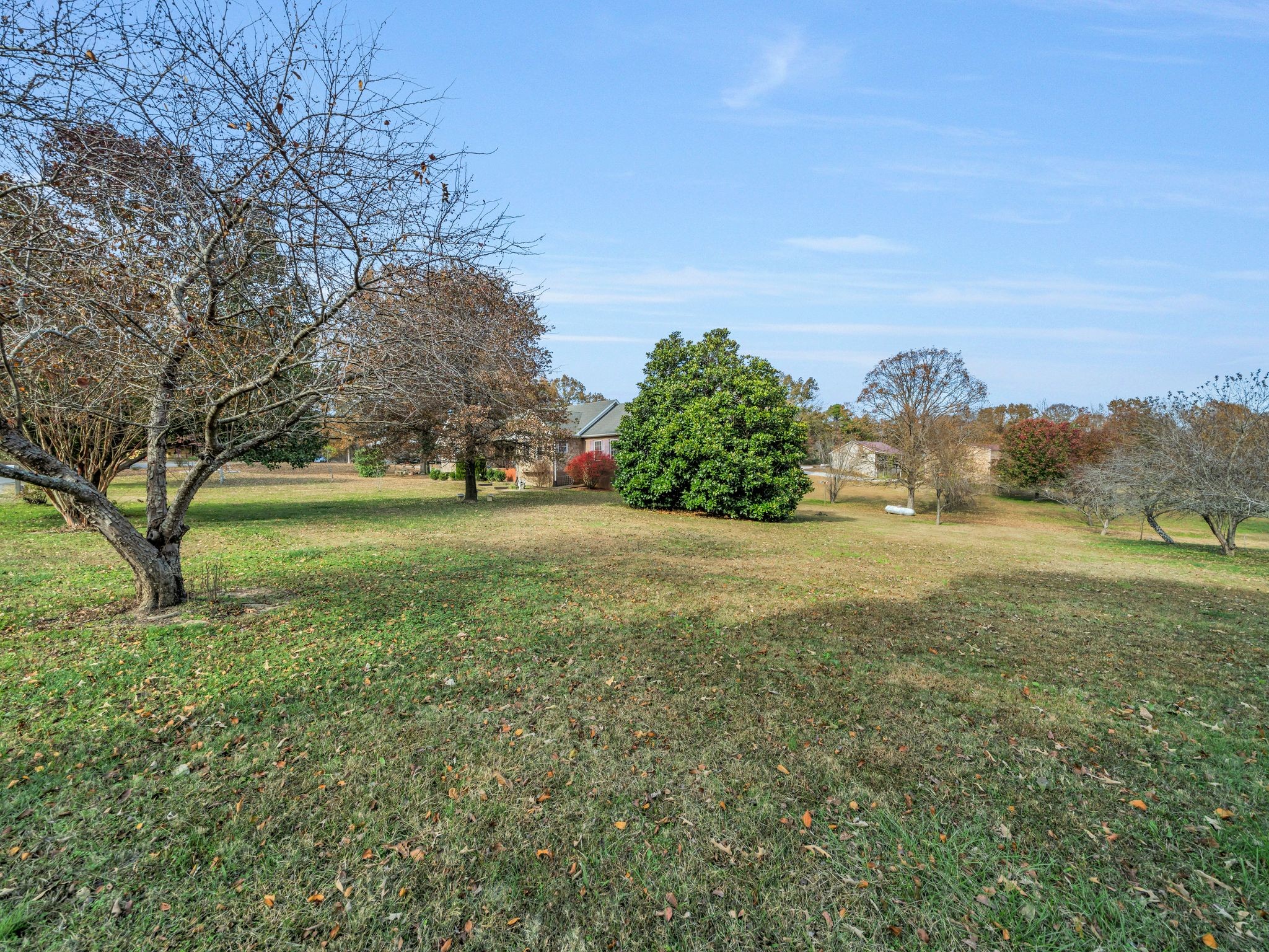 311 Downs Road Cumberland City, TN 37050 - Photo 7 of 31 a view of yard with green space