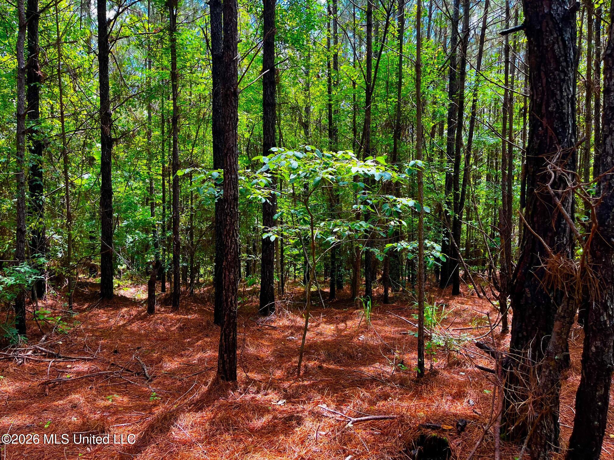 Arthur Drive Brookhaven, MS 39601 - Photo 14 of 20 ar13