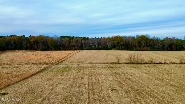$512,700 | 290 Robinson Road, Canton, MS 39046