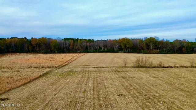 $512,700 | 290 Robinson Road, Canton, MS 39046