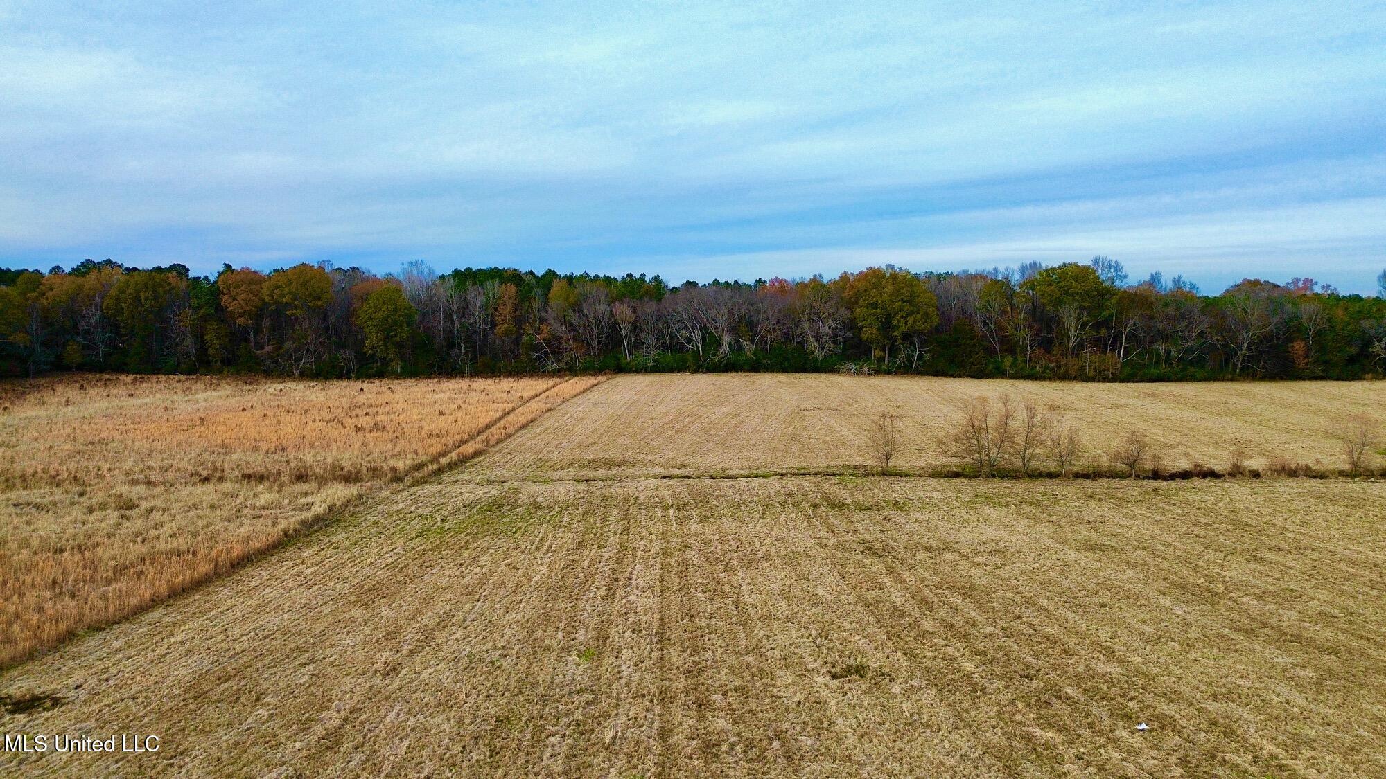 290 Robinson Road Canton, MS 39046 - Photo 3 of 17 dji_fly_20251216_105716_114_176601877188