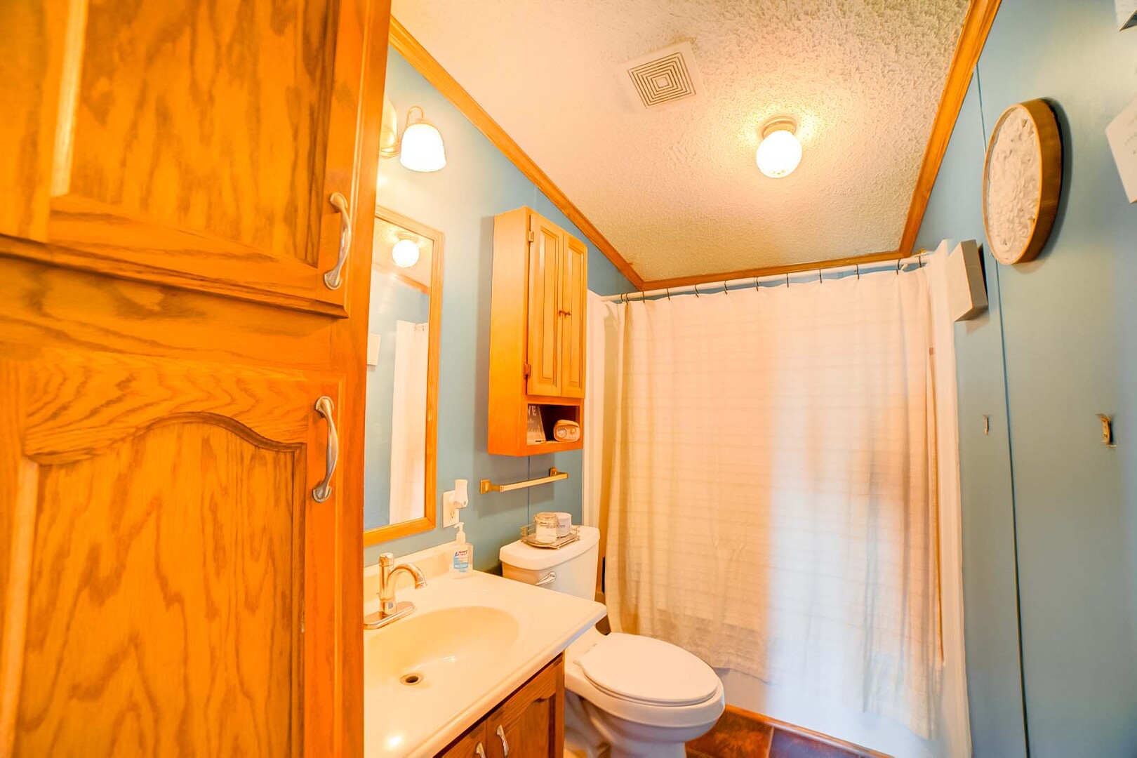 28240 North 990 E Road Potomac, IL 61865 - Photo 21 of 23 a bathroom with a shower curtain and a sink