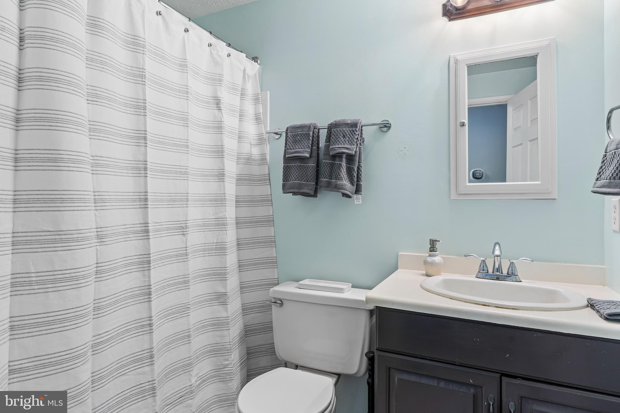 1839 Lawnview Drive Frederick, MD 21702 - Photo 23 of 42 a bathroom with a sink and a toilet