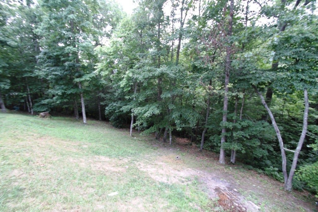 2114 Stone House Road Caldwell, WV 24925 - Photo 5 of 40 Gallery Image 5